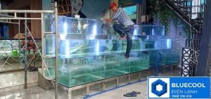 máy lạnh hải sản và công suất