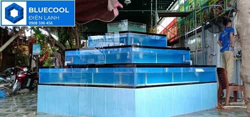 máy lạnh hải sản