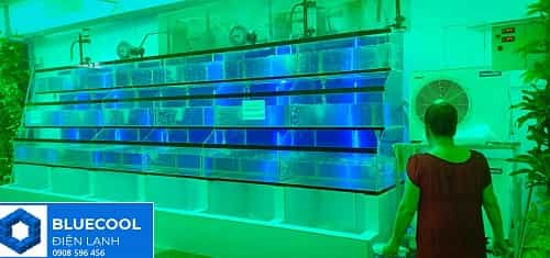 máy lạnh hải sản