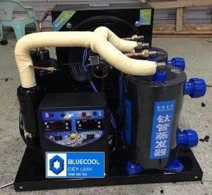 máy lạnh hải sản