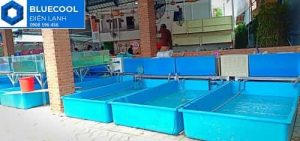 máy làm lạnh nước bể hải sản