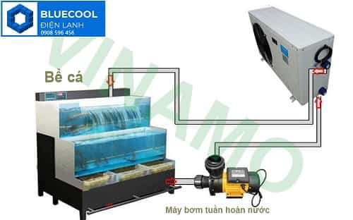 Máy làm lạnh hồ cá hải sản Long An